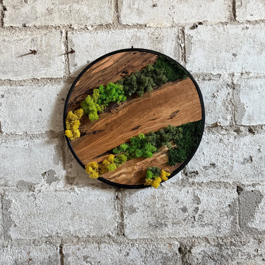 Doğal Şoklanmış Yosun ve Zeytin Ağacı Duvar Dekoru - Yuvarlak Metal Çerçeve (Özel Ölçüler)