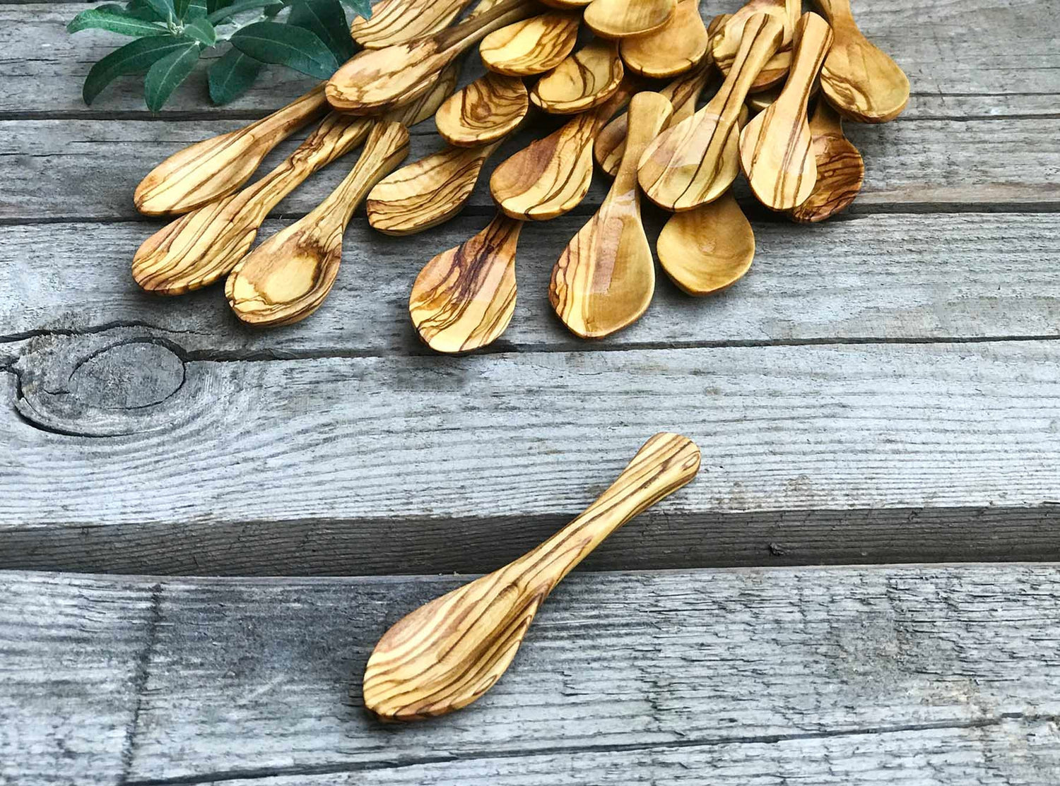 Little Olive Wood Spoons