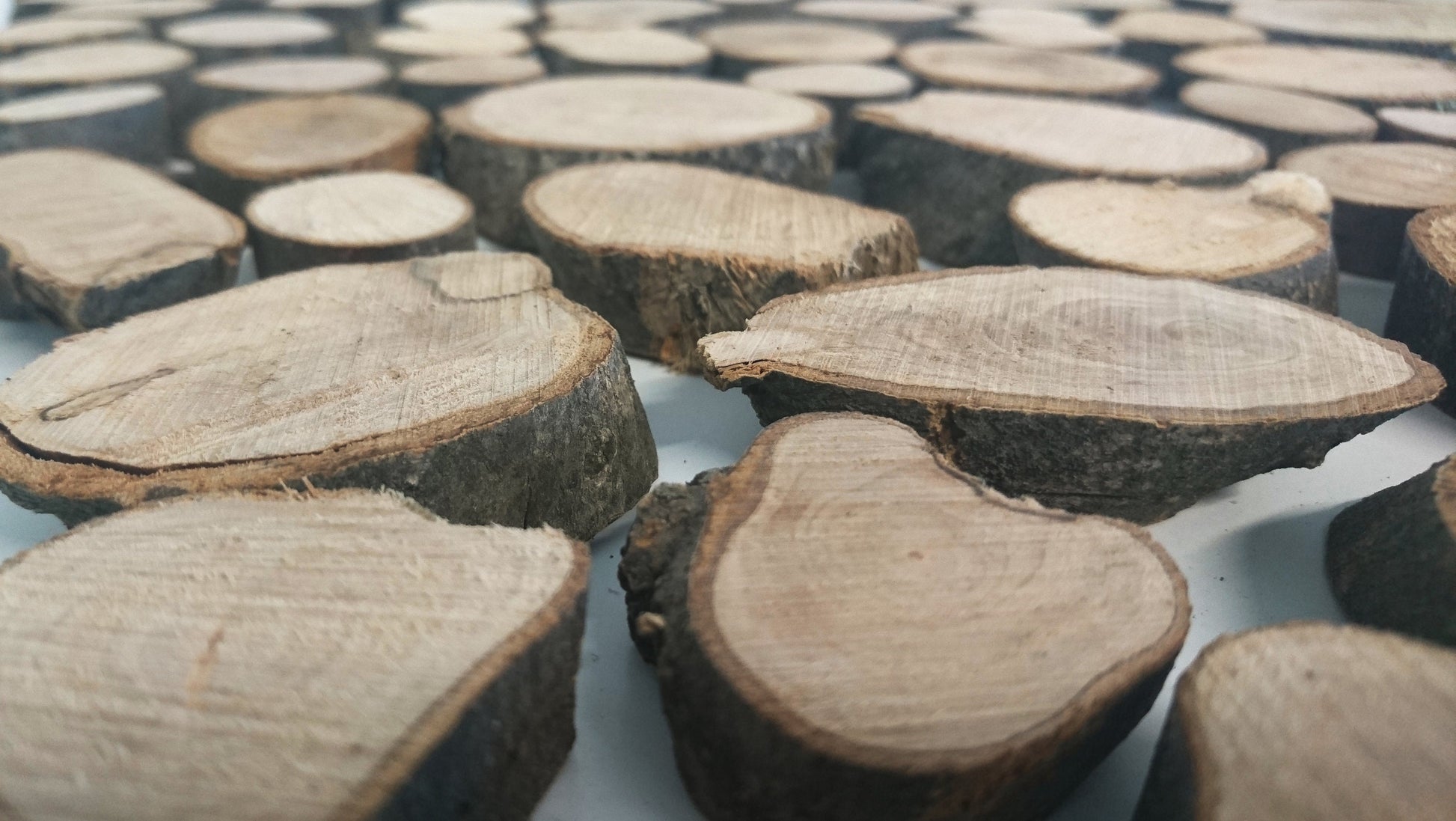 100-piece Small Olive Wood Slices for Epoxy Projects